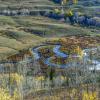 Serpentine River