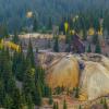 One of the Richest Mines