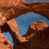 Tangled Arches