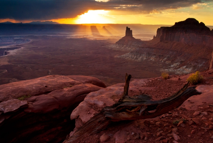 Canyonlands Sunset +