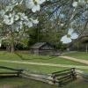 Cade's Cove +