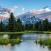 Morning at Schwabacher +