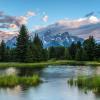 Morning at Schwabacher +