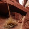 Waterhole Canyon