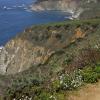 California Central Coast