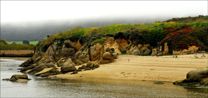 Carmel River +