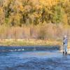 On the Gunnison