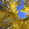 Fall in the Rockies