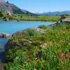 Silver Basin +