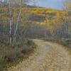 Twin Lakes Road +