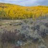 Twin Lakes Aspen