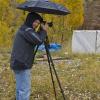 Weather Boy