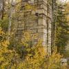 Support Pillar - Yule Marble Mill Site