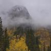 Fall Colorado - The Dead Tree Tour