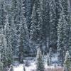 First Snow