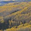 West Elk Wilderness