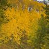 Owl Creek Pass Road