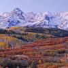 Dallas Divide +