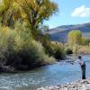 Fall on the Gunnison
