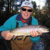 A Nice Brown Trout