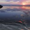 Tybee Sunrise 4