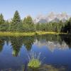 Schwabacher Landing Reflections  +