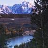 Mt. Moran