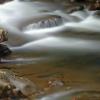 Little River