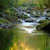 Golden River