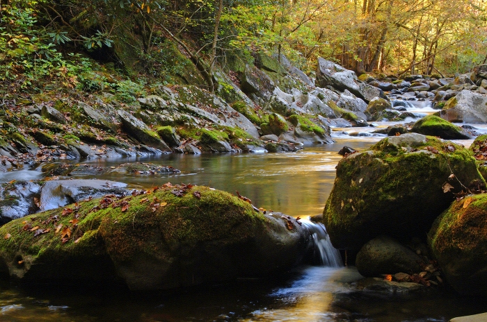 Little Falls