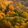 Below Chimney Tops