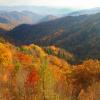Near Newfound Gap