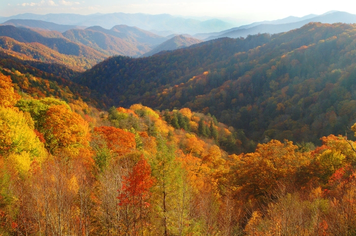 Near Newfound Gap