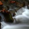 Little River
