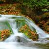 Little River