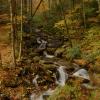 West Prong - Little Pigeon River - 2010