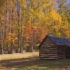 The Jim Bales Place