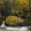 Natural Spring Waters