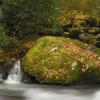 Little River Spring