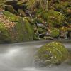 Along the Little River