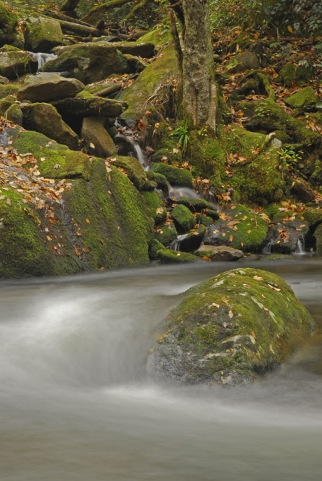 Along the Little River
