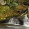 Smokies Spring
