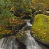 Little River Spring