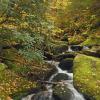 Little River Spring