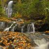 Little River Spring