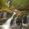 Mountain Spring
