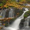 Smokies Cascades +