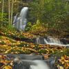 Mountain Spring +