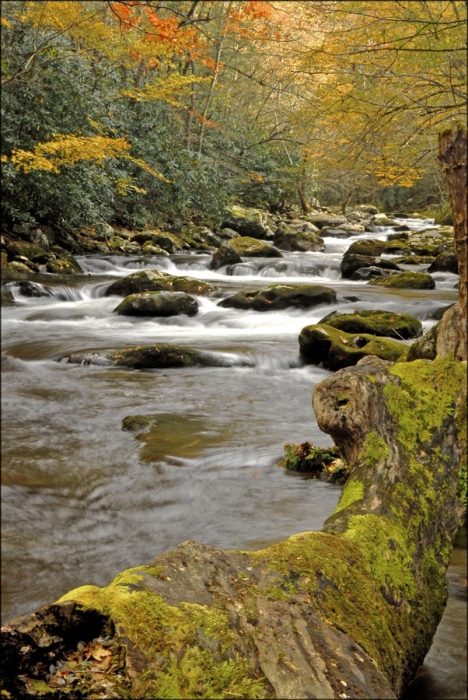 Middle Prong of Little River