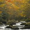Middle Prong of Little River